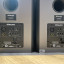 Monitores Dynaudio DBM50