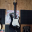 Fender stratocaster Standard USA (reservada)