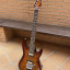 Harley Benton Fusion-II HH FR EB FBB Guitarra mod