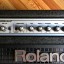 Amplificador de bajo Roland D-Bass 210