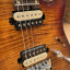 Harley Benton Fusion-II HH FR EB FBB Guitarra mod