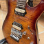 Harley Benton Fusion-II HH FR EB FBB Guitarra mod