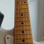 Fender "Partcaster" stratocaster