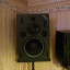 Monitores Estudio Court NS30 pareja grandes15" 12" 8"