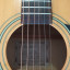 Guitarra acústica Takamine G-230
