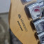 Fender Telecaster Player HH MN TPL & Fender Deluxe Case