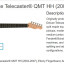 Telecaster american deluxe qmt hh 2004
