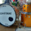 Batería Ludwig Classic Maple + Hard Cases