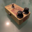 Fuzz ANALOGMAN BC-108