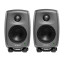 Pareja de Genelec 8010 o IK Multimedia iloud micro