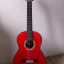 Vendo guitarra flamenca RSC