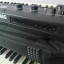 Teclado MicroKorg XL Plus con funda