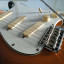 Guitarra Fénix Stratocaster ( RESERVADA )