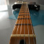 Guitarra Fénix Stratocaster ( RESERVADA )