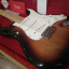 Fender Stratocaster Standard Maple neck