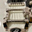 Duesenberg Paloma WH