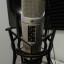 Microfono RODE NT2A + Araña con Antipop Integrado