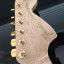 Cambio guitarra WARMOTH