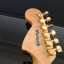 Cambio guitarra WARMOTH