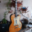 Silvertone Model 1381 Kay Made Jimmy Reed Thin Twin 1955 RESERVADA