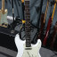 RESERVADA Stratocaster cuerpo Fender Mex