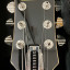 Duesenberg Paloma WH