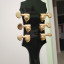 Epiphone Sheraton II