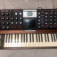 Moog Minimoog Voyager edición Signature Red + flighcase