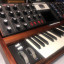 Moog Minimoog Voyager edición Signature Red + flighcase