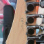 Ibanez RG-550 Ex01