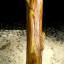 vendo didgeridoo de pita