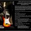 Fender Stratocaster Deluxe Custom Shop del 2009