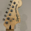 Squier stratocaster standard