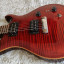 Guitarra eléctrica PRS SE Paul´s Guitar