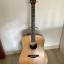 Taylor DN3e - alta gama de Taylor