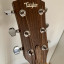 Taylor DN3e - alta gama de Taylor