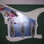 Golpeador completo Fender Strato Plus