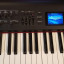 Roland RD800