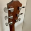 Taylor DN3e - alta gama de Taylor