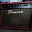 Elmwood Boneville 50 combo Celestion V30