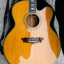 Guitarra Washburn J28SC