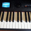 Roland RD800
