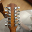 Cambio guitarra electroacústica Fender de 12 cuerdas.