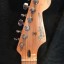 Fender Stratocaster MIM pastillas Custom shop Texas Special