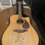 Takamine Tan 16c