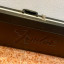 Fender plus deluxe