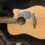 Takamine Tan 16c