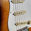 Fender Stratocaster ERIC JOHNSON 54 2022 nueva