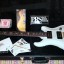 **cambio** PRS USA DAVE NAVARRO SIGNATURE custom 24 NUEVA