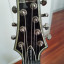 Guitarra 7 cuerdas Schecter Diamond Series Hellraiser negra (o cambio)